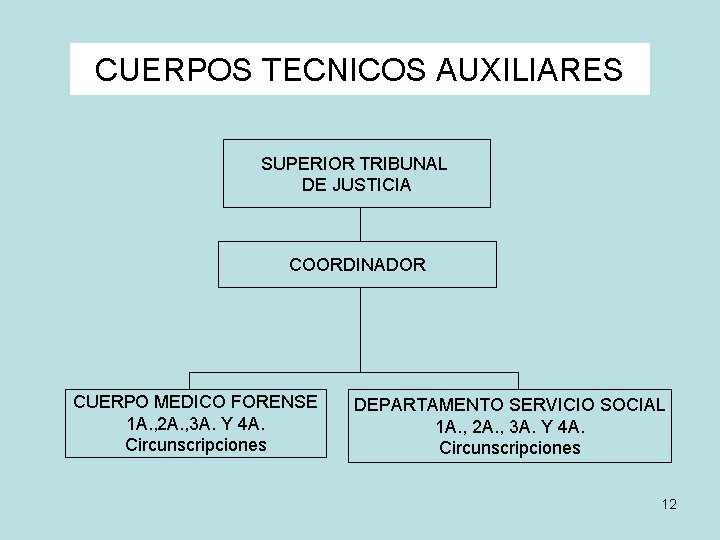 CUERPOS TECNICOS AUXILIARES SUPERIOR TRIBUNAL DE JUSTICIA COORDINADOR CUERPO MEDICO FORENSE 1 A. ,