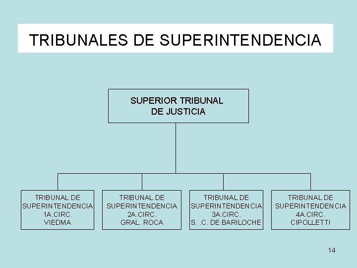 TRIBUNALES DE SUPERINTENDENCIA SUPERIOR TRIBUNAL DE JUSTICIA TRIBUNAL DE SUPERINTENDENCIA 1 A. CIRC. VIEDMA