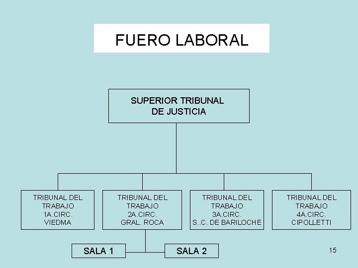 FUERO LABORAL SUPERIOR TRIBUNAL DE JUSTICIA TRIBUNAL DEL TRABAJO 1 A. CIRC. VIEDMA TRIBUNAL