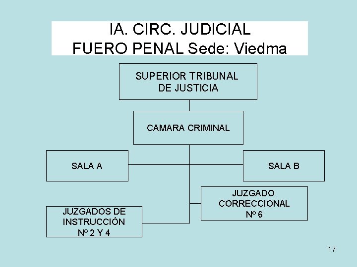 IA. CIRC. JUDICIAL FUERO PENAL Sede: Viedma SUPERIOR TRIBUNAL DE JUSTICIA CAMARA CRIMINAL SALA