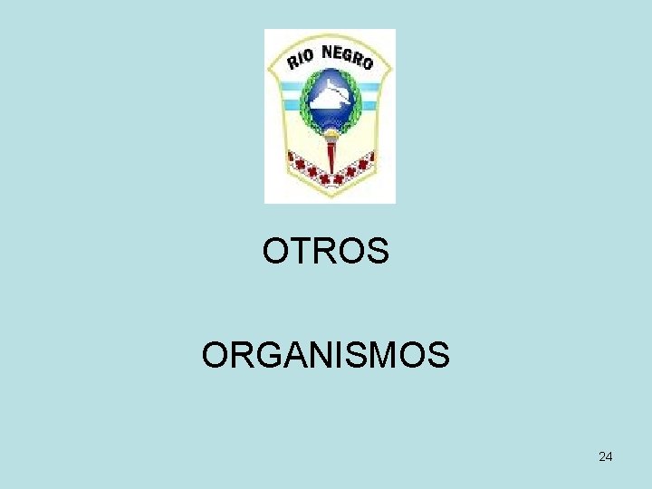 OTROS ORGANISMOS 24 