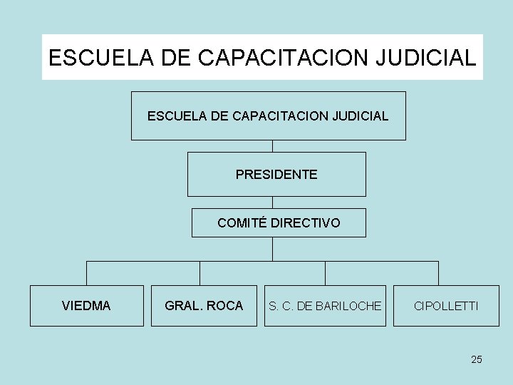 ESCUELA DE CAPACITACION JUDICIAL PRESIDENTE COMITÉ DIRECTIVO VIEDMA GRAL. ROCA S. C. DE BARILOCHE