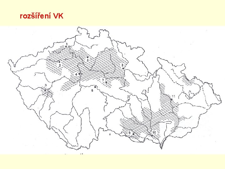 rozšíření VK rozšíření VK