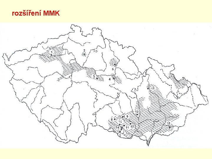 rozšíření MMK rozšíření MMK