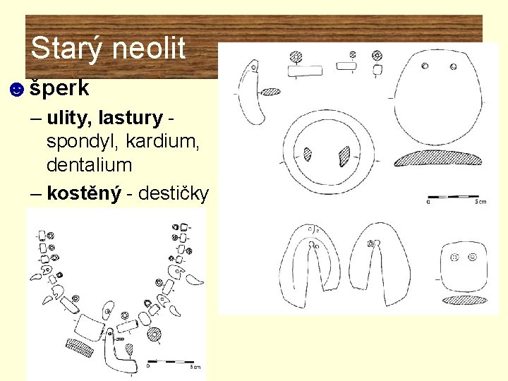 Starý neolit ☻šperk – ulity, lastury spondyl, kardium, dentalium – kostěný - destičky Starý neolit ☻šperk – ulity, lastury spondyl, kardium, dentalium – kostěný - destičky