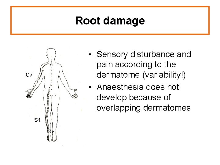 Root damage • Sensory disturbance and pain according to the dermatome (variability!) • Anaesthesia