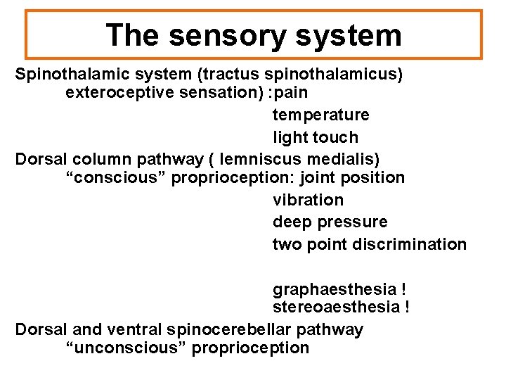 The sensory system Spinothalamic system (tractus spinothalamicus) exteroceptive sensation) : pain temperature light touch