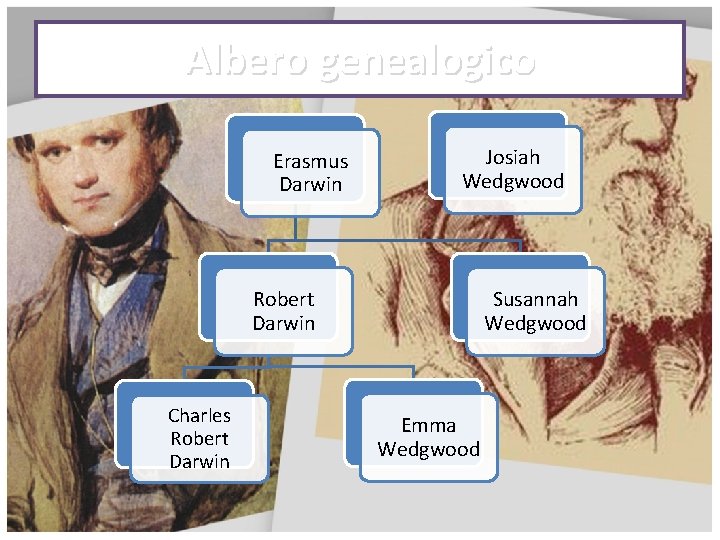 Albero genealogico Erasmus Darwin Josiah Wedgwood Robert Darwin Charles Robert Darwin Susannah Wedgwood Emma