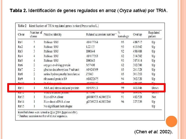 Tabla 2. Identificación de genes regulados en arroz (Oryza sativa) por TRIA. (Chen et