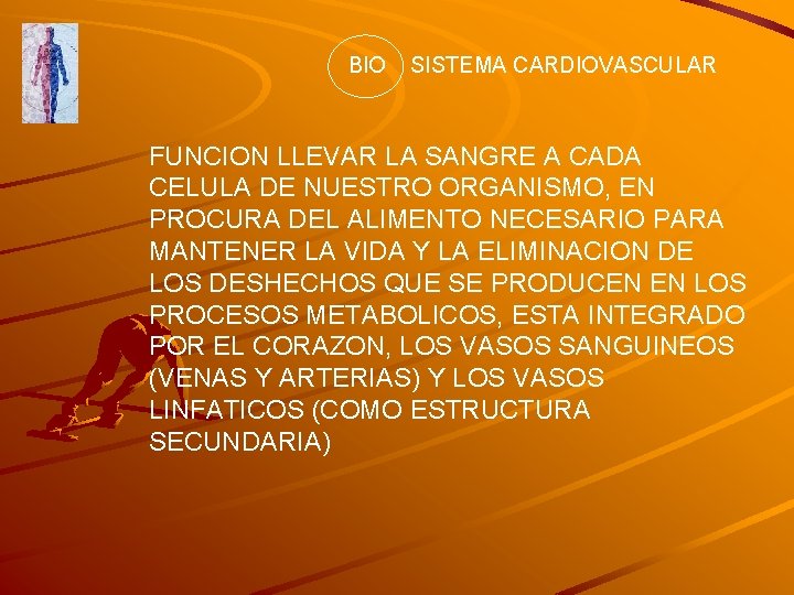 BIO SISTEMA CARDIOVASCULAR FUNCION LLEVAR LA SANGRE A CADA CELULA DE NUESTRO ORGANISMO, EN