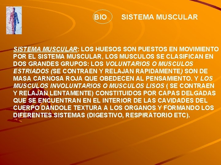 BIO SISTEMA MUSCULAR: LOS HUESOS SON PUESTOS EN MOVIMIENTO POR EL SISTEMA MUSCULAR, LOS