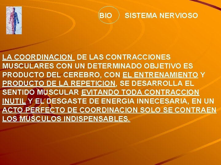 BIO SISTEMA NERVIOSO LA COORDINACION DE LAS CONTRACCIONES MUSCULARES CON UN DETERMINADO OBJETIVO ES