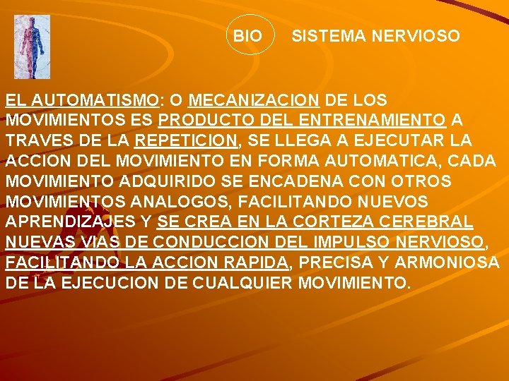 BIO SISTEMA NERVIOSO EL AUTOMATISMO: O MECANIZACION DE LOS MOVIMIENTOS ES PRODUCTO DEL ENTRENAMIENTO
