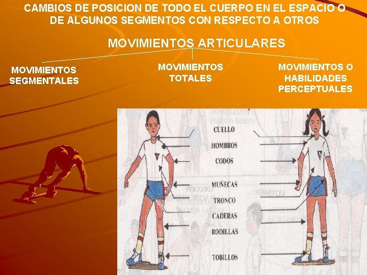 CAMBIOS DE POSICION DE TODO EL CUERPO EN EL ESPACIO O DE ALGUNOS SEGMENTOS