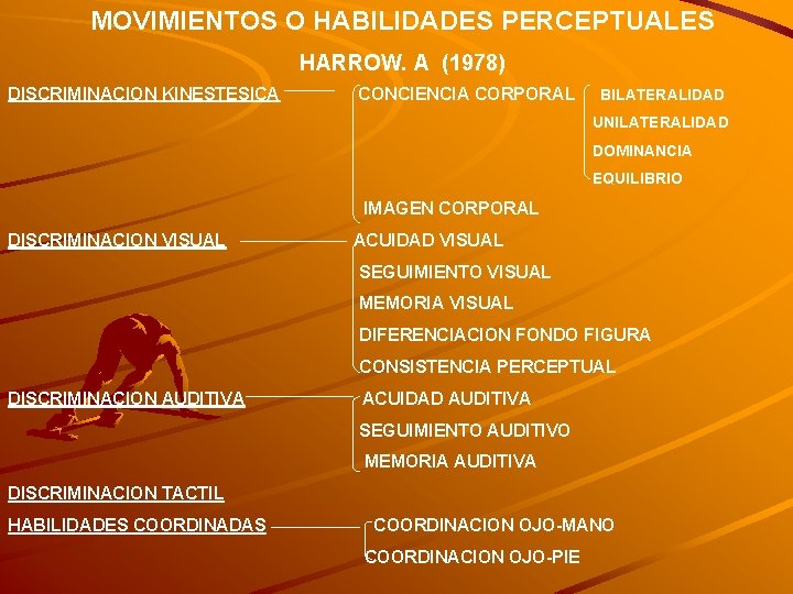 MOVIMIENTOS O HABILIDADES PERCEPTUALES HARROW. A (1978) DISCRIMINACION KINESTESICA CONCIENCIA CORPORAL BILATERALIDAD UNILATERALIDAD DOMINANCIA