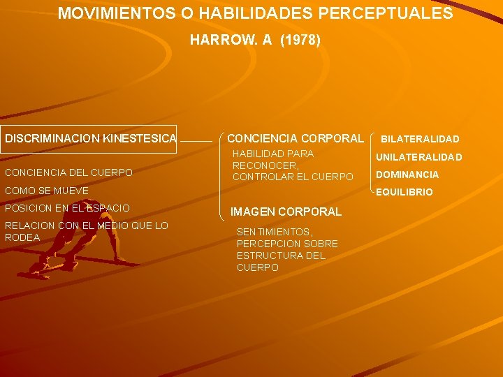 MOVIMIENTOS O HABILIDADES PERCEPTUALES HARROW. A (1978) DISCRIMINACION KINESTESICA CONCIENCIA DEL CUERPO CONCIENCIA CORPORAL