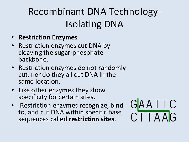 Unit 2 Molecular Genetics Recombinant Dna Technology Lesson