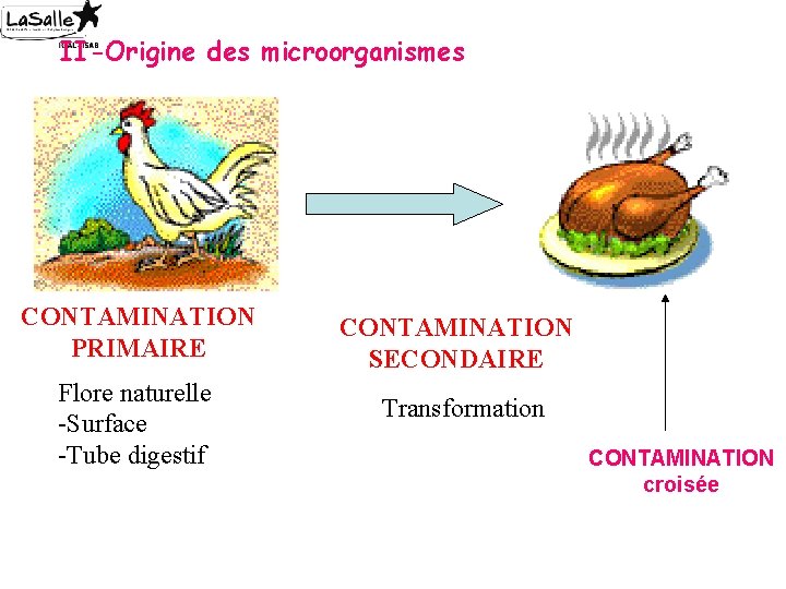 II-Origine des microorganismes CONTAMINATION PRIMAIRE Flore naturelle -Surface -Tube digestif CONTAMINATION SECONDAIRE Transformation CONTAMINATION