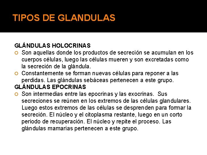 TIPOS DE GLANDULAS GLÁNDULAS HOLOCRINAS Son aquellas donde los productos de secreción se acumulan