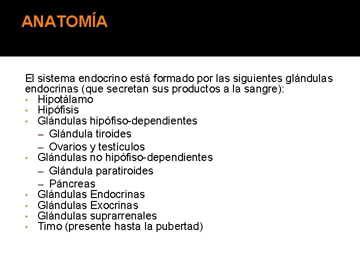 ANATOMÍA El sistema endocrino está formado por las siguientes glándulas endocrinas (que secretan sus
