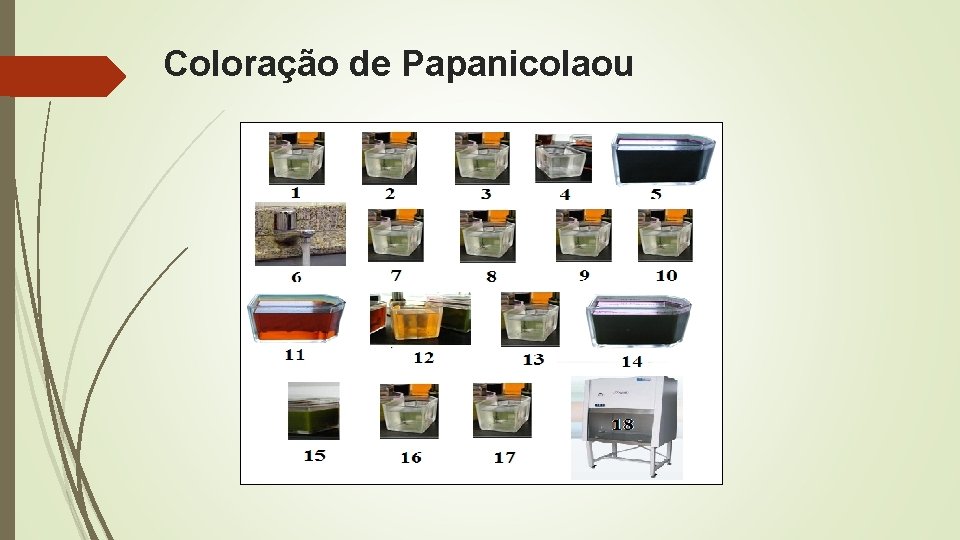 Coloração de Papanicolaou 
