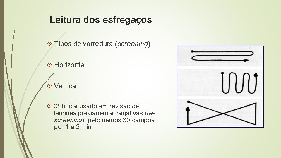 Leitura dos esfregaços Tipos de varredura (screening) Horizontal Vertical 3 o tipo é usado