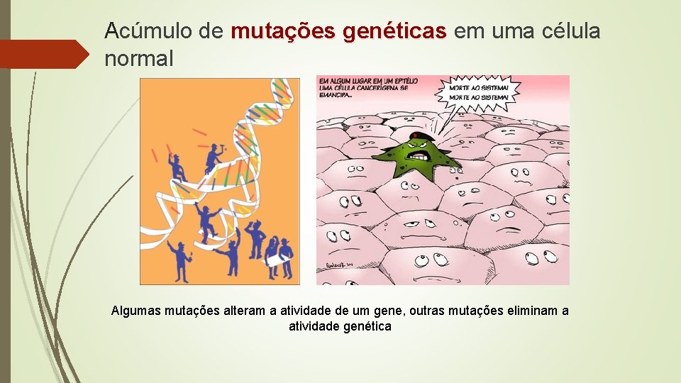 Acúmulo de mutações genéticas em uma célula genéticas normal Algumas mutações alteram a atividade