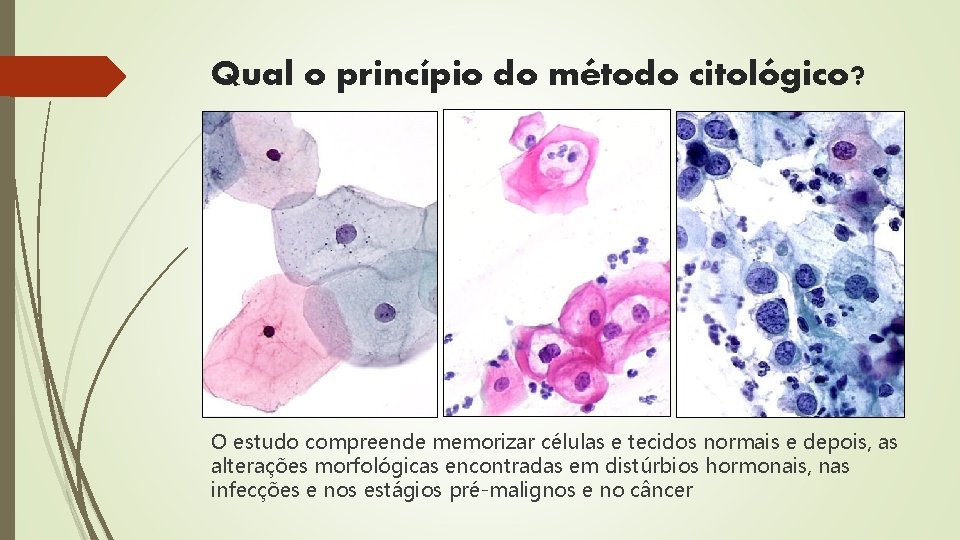 Qual o princípio do método citológico? O estudo compreende memorizar células e tecidos normais