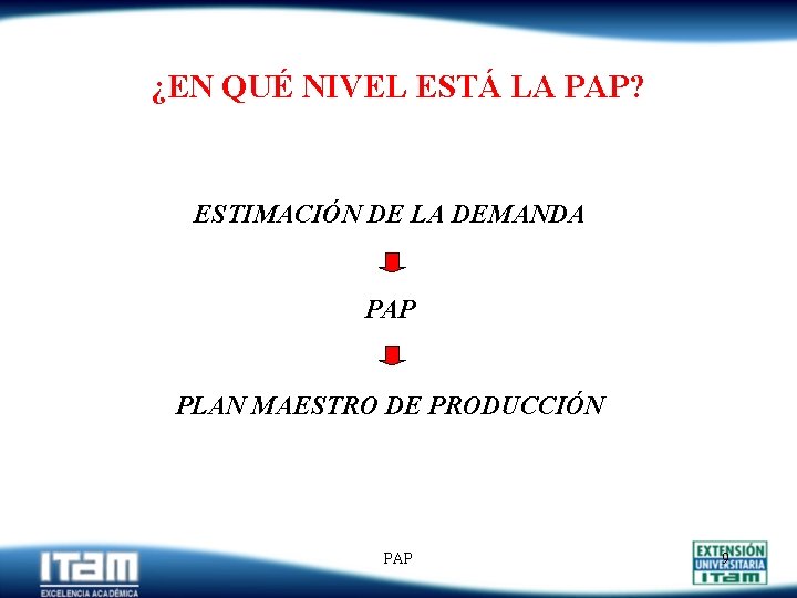 ¿EN QUÉ NIVEL ESTÁ LA PAP? ESTIMACIÓN DE LA DEMANDA PAP PLAN MAESTRO DE