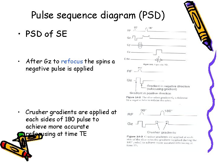 Pulse sequence diagram (PSD) • PSD of SE • After Gz to refocus the