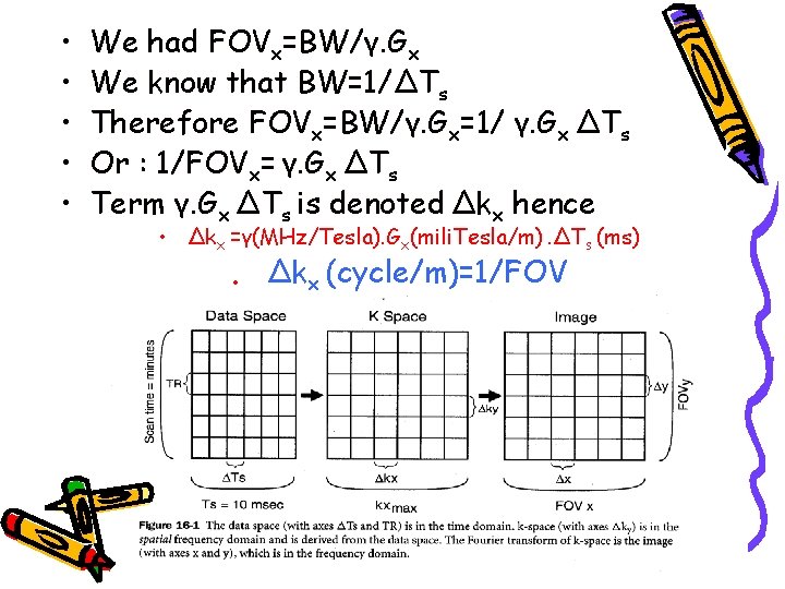  • • • We had FOVx=BW/γ. Gx We know that BW=1/ΔTs Therefore FOVx=BW/γ.