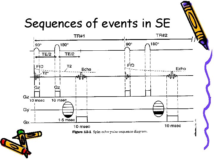 Sequences of events in SE 