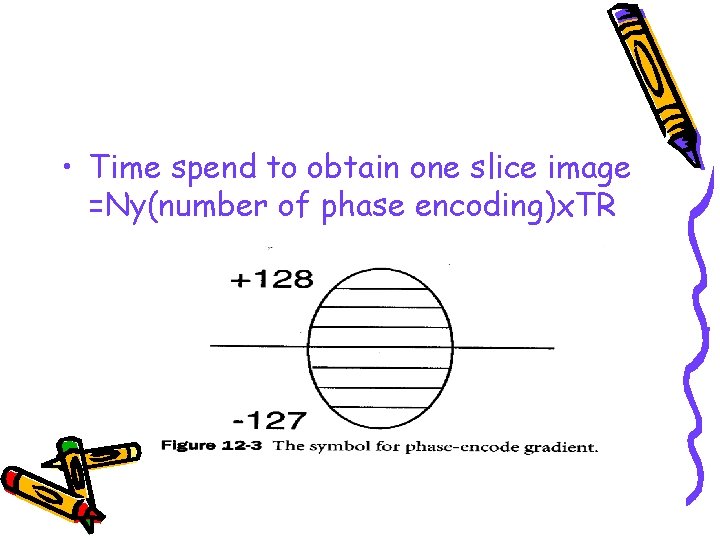  • Time spend to obtain one slice image =Ny(number of phase encoding)x. TR