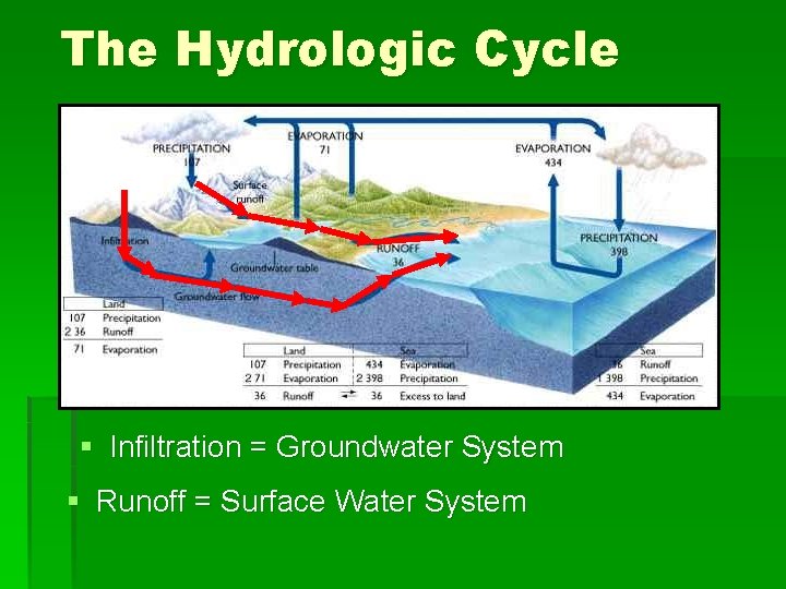 The Hydrologic Cycle § Infiltration = Groundwater System § Runoff = Surface Water System