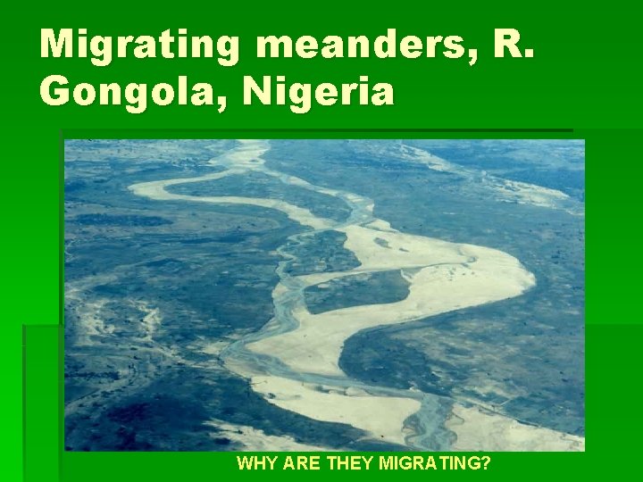 Migrating meanders, R. Gongola, Nigeria WHY ARE THEY MIGRATING? 