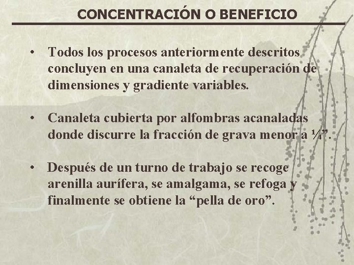 CONCENTRACIÓN O BENEFICIO • Todos los procesos anteriormente descritos concluyen en una canaleta de