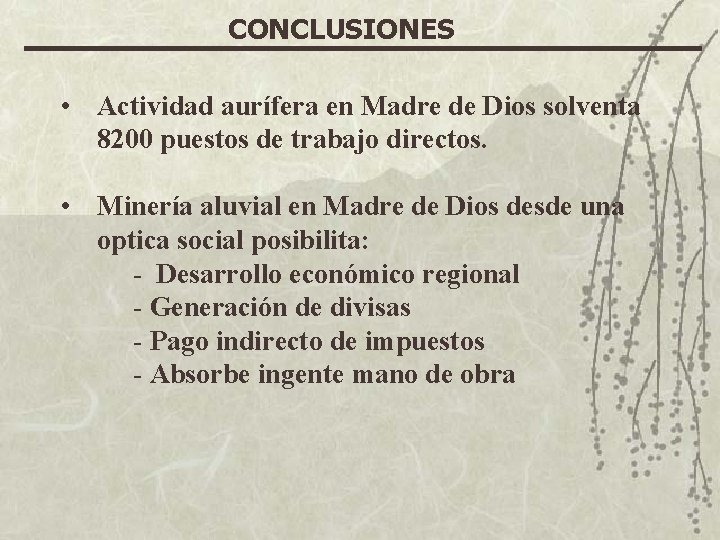 CONCLUSIONES • Actividad aurífera en Madre de Dios solventa 8200 puestos de trabajo directos.