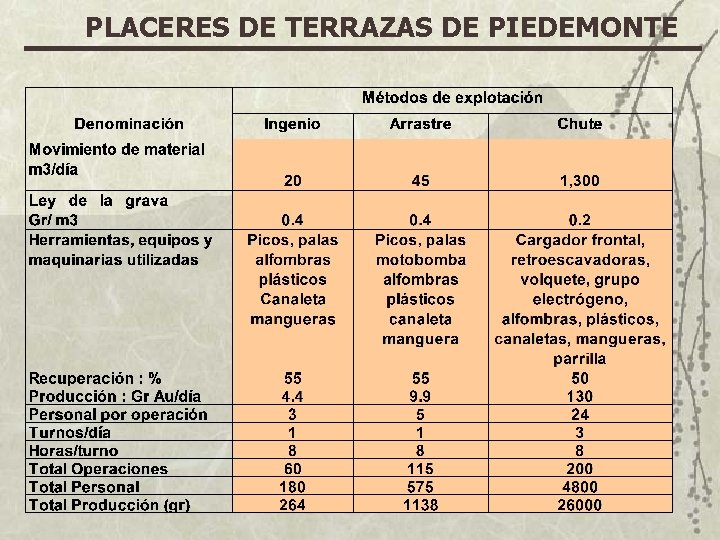 PLACERES DE TERRAZAS DE PIEDEMONTE 