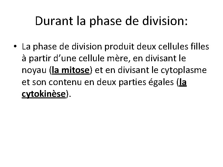 Durant la phase de division: • La phase de division produit deux cellules filles