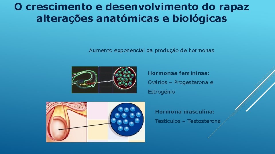 Desenvolvimento masculinoalteraes fsicas e hormonais UNIDADE DE CUIDADOS