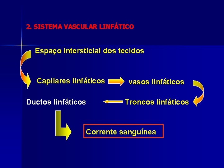 2. SISTEMA VASCULAR LINFÁTICO Espaço intersticial dos tecidos Capilares linfáticos Ductos linfáticos vasos linfáticos