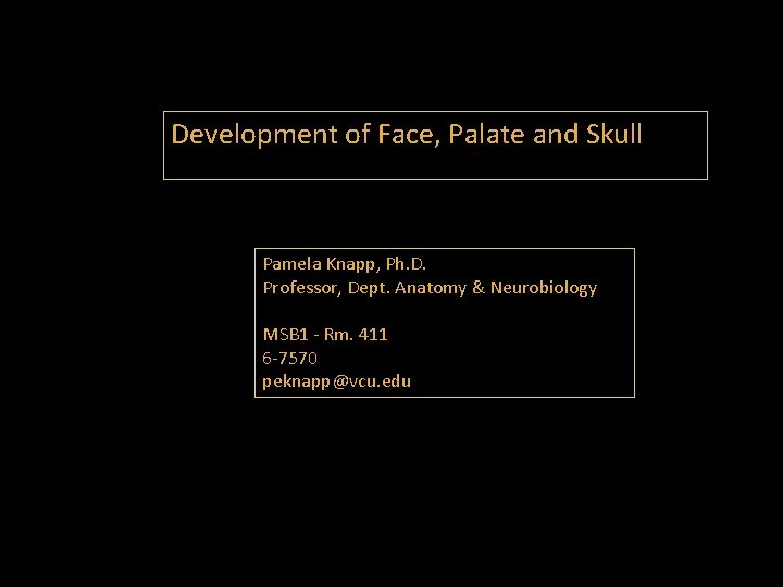 Development of Face, Palate and Skull Pamela Knapp, Ph. D. Professor, Dept. Anatomy &