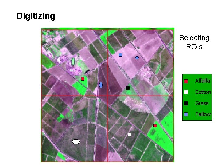 Digitizing Selecting ROIs Alfalfa Cotton Grass Fallow Digitizing Selecting ROIs Alfalfa Cotton Grass Fallow