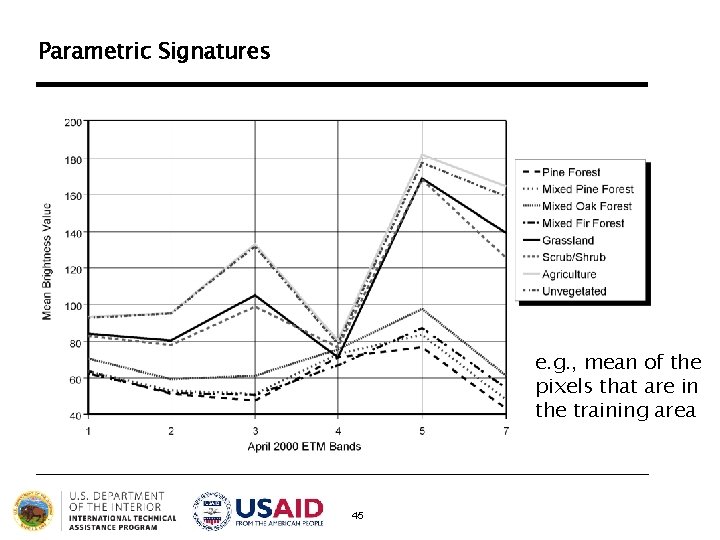 Parametric Signatures e. g. , mean of the pixels that are in the training Parametric Signatures e. g. , mean of the pixels that are in the training