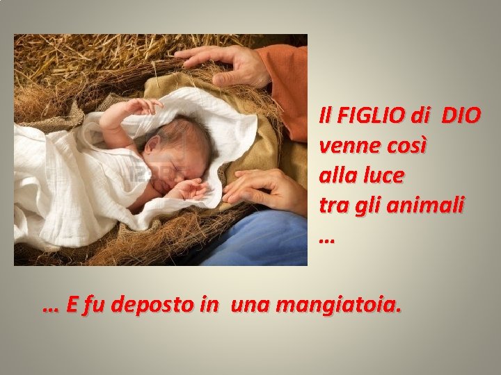 Il FIGLIO di DIO venne così alla luce tra gli animali … … E