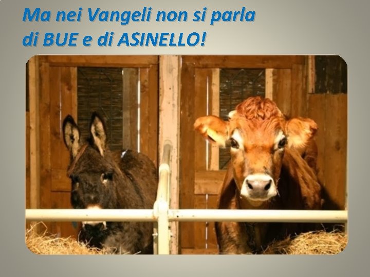 Ma nei Vangeli non si parla di BUE e di ASINELLO! 