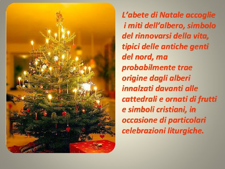 L’abete di Natale accoglie i miti dell’albero, simbolo del rinnovarsi della vita, tipici delle