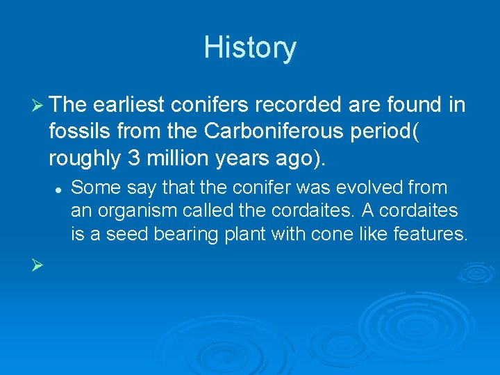 History Ø The earliest conifers recorded are found in fossils from the Carboniferous period(