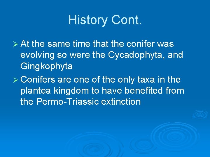 History Cont. Ø At the same time that the conifer was evolving so were