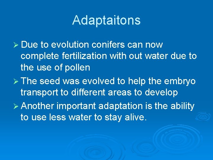 Adaptaitons Ø Due to evolution conifers can now complete fertilization with out water due